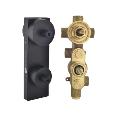 Picture of Aquamax In-wall Body of Thermostatic Shower Mixer