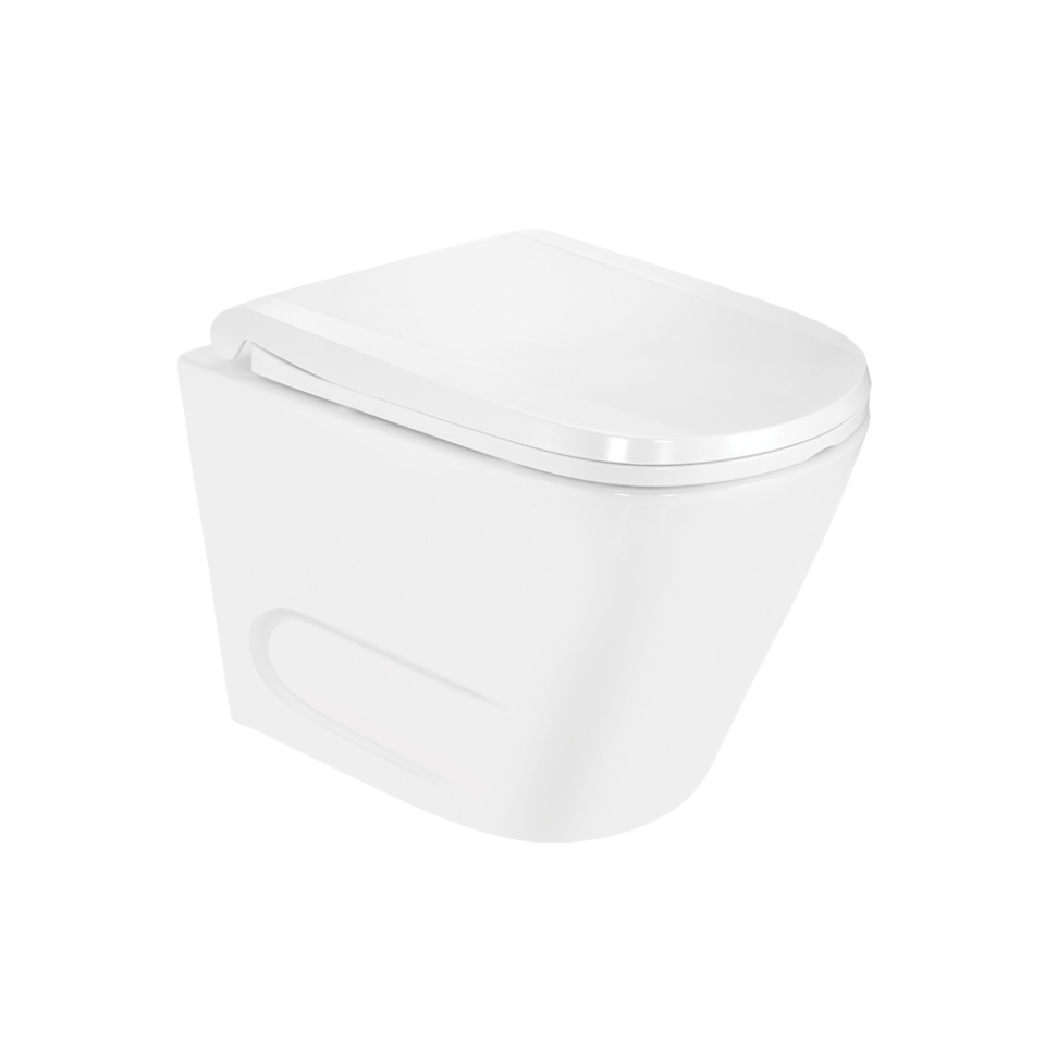 Picture of Rimless Blind Installation Wall Hung WC - White