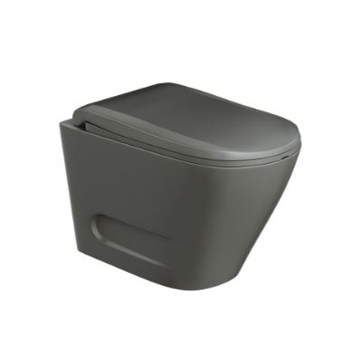 Picture of Rimless Blind Installation Wall Hung WC - Grey Matt